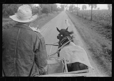 [Untitled photo, possibly related to: Farmer hauling wheat to…, Ohio, 1938