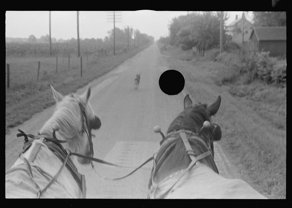 [Untitled photo, possibly related to: Farmer hauling wheat to…, Ohio, 1938