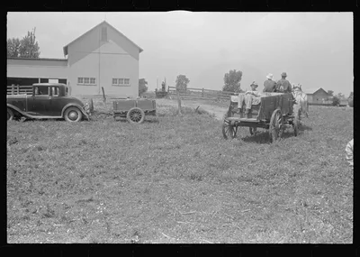 Hauling threshed wheat from the field, central Ohio, 1938