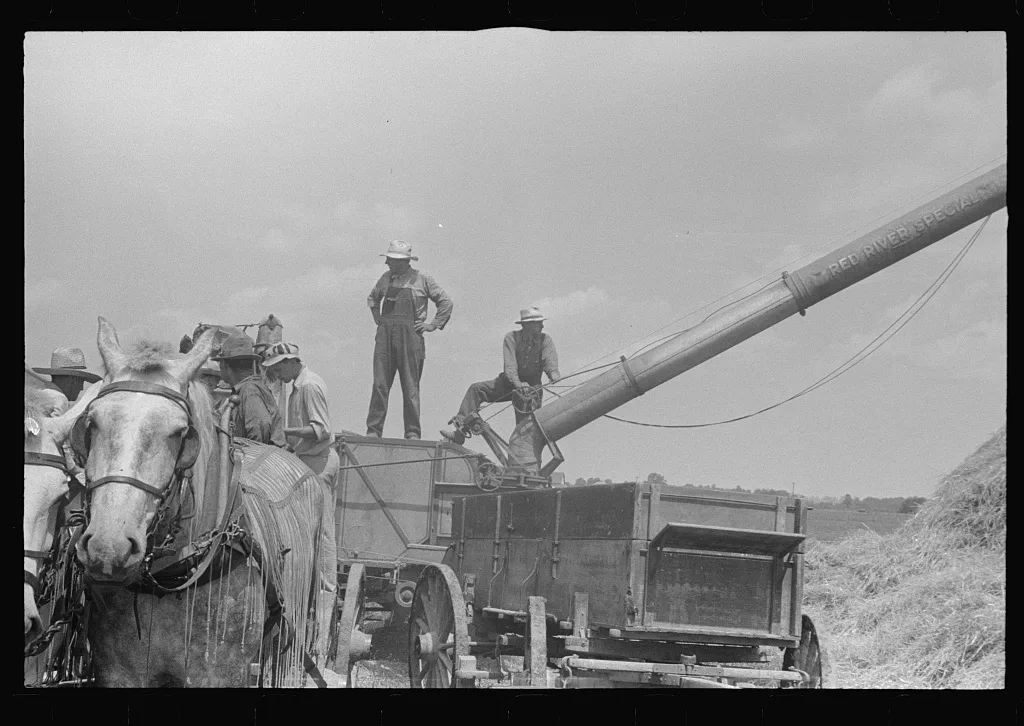 [Untitled photo, possibly related to: Wheat harvest. In the field,…, Ohio, 1938