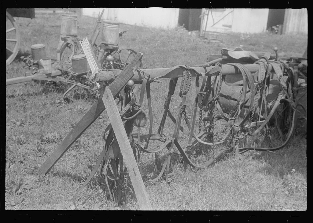 To be auctioned off, public auction, central Ohio, 1938