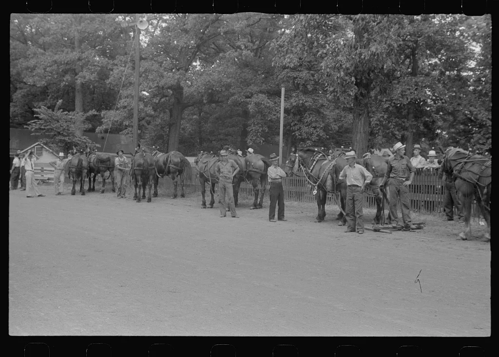 Before start of weight-pulling contest, county fair, central Ohio, 1938