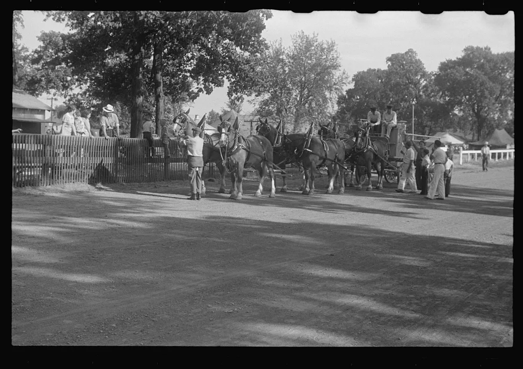 [Untitled photo, possibly related to: Dairy show horses at county…, Ohio, 1938
