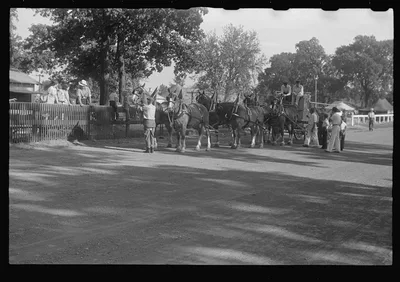 [Untitled photo, possibly related to: Dairy show horses at county…, Ohio, 1938