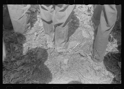 Farmers at public auction, central Ohio, 1938