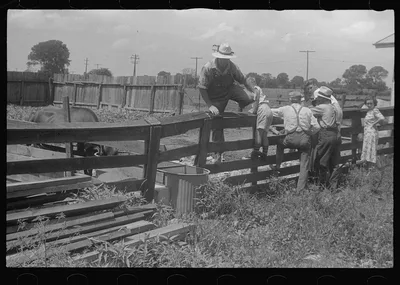 [Untitled photo, possibly related to: Farmers at public auction,…, Ohio, 1938