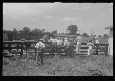 [Untitled photo, possibly related to: Farmers at public auction,…, Ohio, 1938