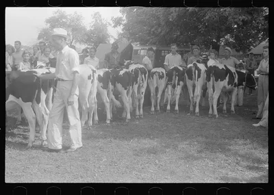 [Untitled photo, possibly related to: At the county fair, central…, Ohio, 1938