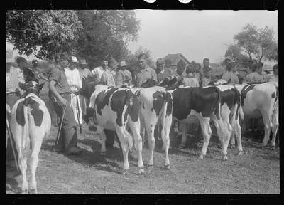 [Untitled photo, possibly related to: At the county fair, central…, Ohio, 1938