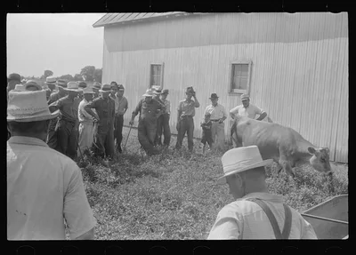 [Untitled photo, possibly related to: Farmers at public auction,…, Ohio, 1938