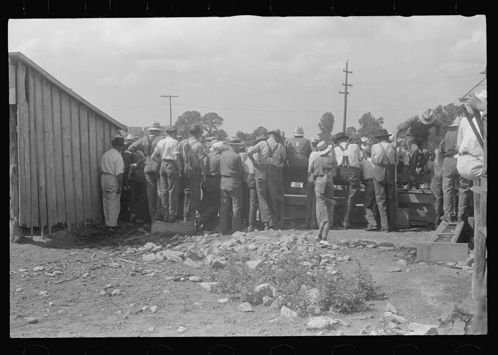 [Untitled photo, possibly related to: Farmers at public auction,…, Ohio, 1938
