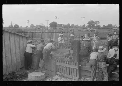 Public auction in central Ohio, 1938