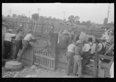 [Untitled photo, possibly related to: Public auction in central Ohio], 1938
