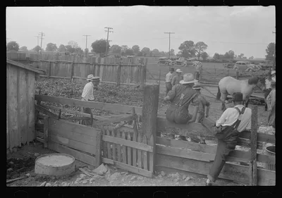 [Untitled photo, possibly related to: Public auction in central Ohio], 1938