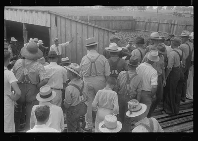 Spectators at public auction, central Ohio, 1938