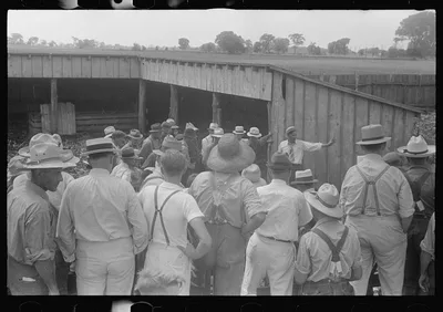 Public auction in central Ohio, 1938