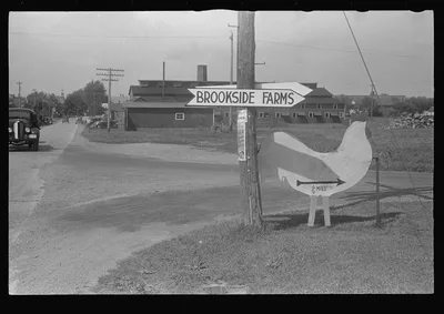 Signs, Route 40, central Ohio, 1938