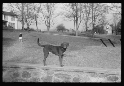 [Untitled photo, possibly related to: Scenes of the northern…, Virginia, 1941