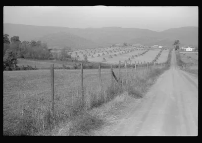 Scenes of the northern Shenandoah Valley, including the Resettlement…, Virginia, 1941