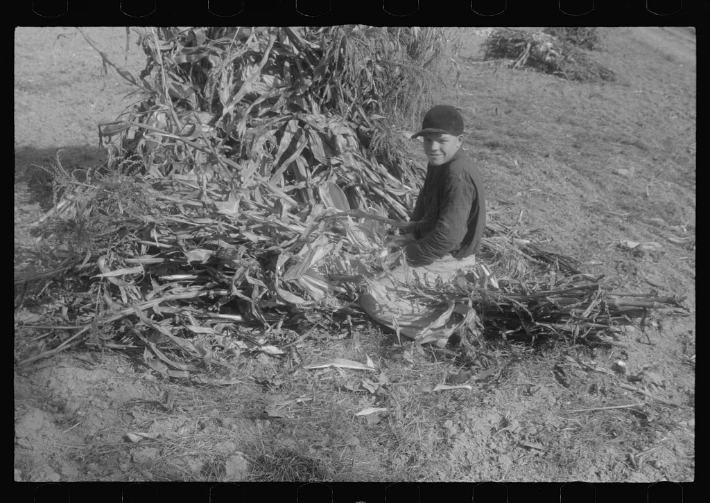 Scenes of the northern Shenandoah Valley, including the Resettlement…, Virginia, 1941