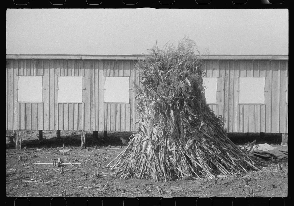 Scenes of the northern Shenandoah Valley, including the Resettlement…, Virginia, 1941
