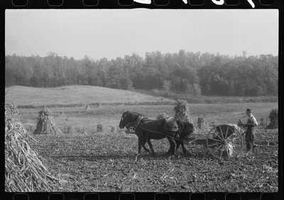 Scenes of the northern Shenandoah Valley, including the Resettlement…, Virginia, 1941