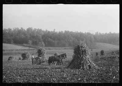 Scenes of the northern Shenandoah Valley, including the Resettlement…, Virginia, 1941