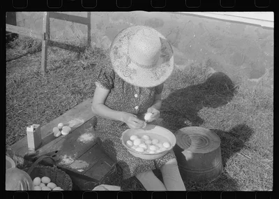 Scenes of the northern Shenandoah Valley, including the Resettlement…, Virginia, 1941