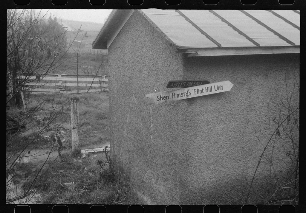 Scenes of the northern Shenandoah Valley, including the Resettlement…, Virginia, 1941