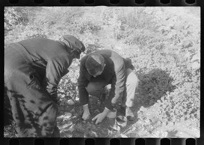 Scenes of the northern Shenandoah Valley, including the Resettlement…, Virginia, 1941