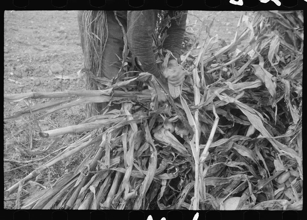Scenes of the northern Shenandoah Valley, including the Resettlement…, Virginia, 1941