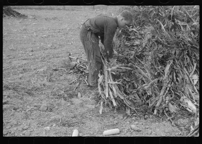 Scenes of the northern Shenandoah Valley, including the Resettlement…, Virginia, 1941