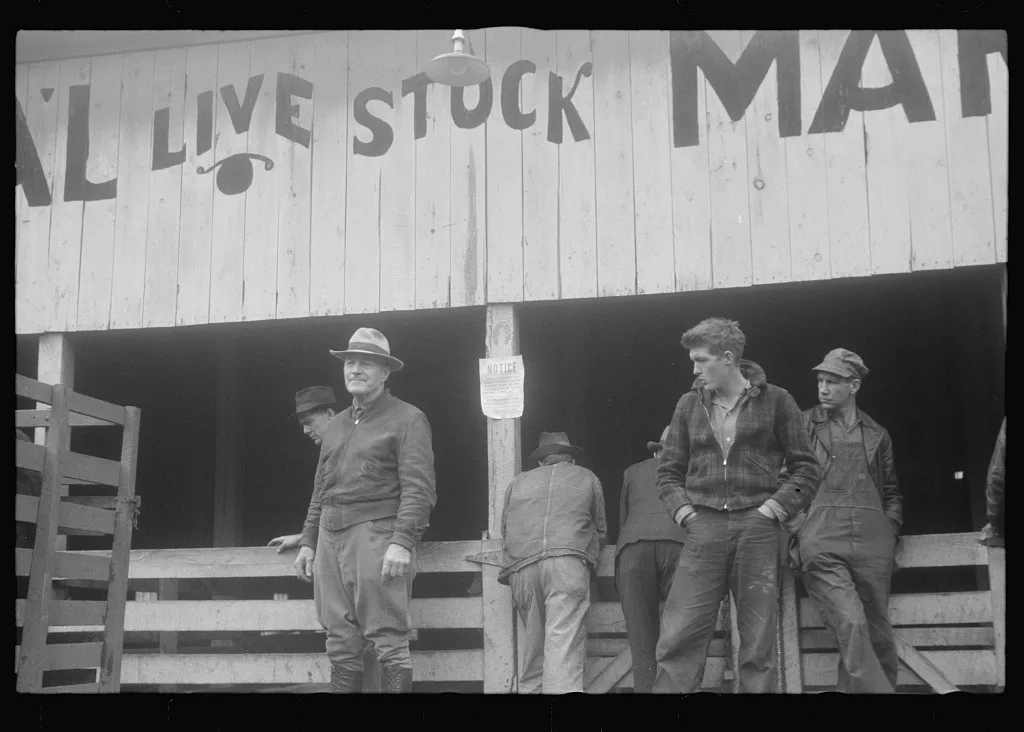 Scenes of the northern Shenandoah Valley, including the Resettlement…, Virginia, 1941