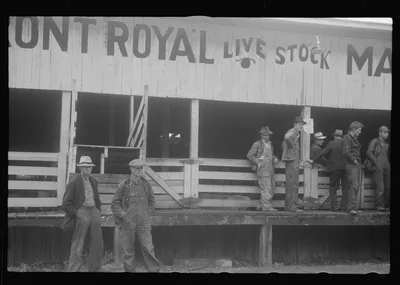 Scenes of the northern Shenandoah Valley, including the Resettlement…, Virginia, 1941